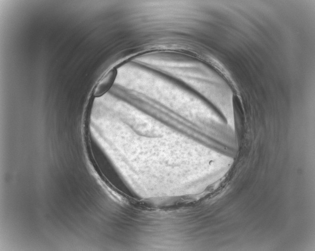X0000069800803200606091807