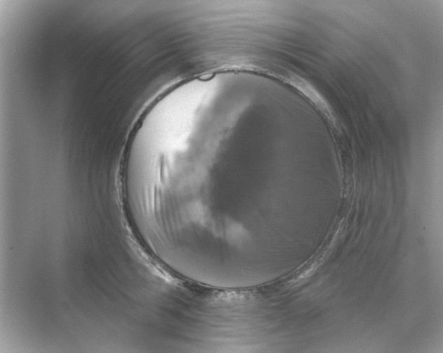 X0000069800806200606091807