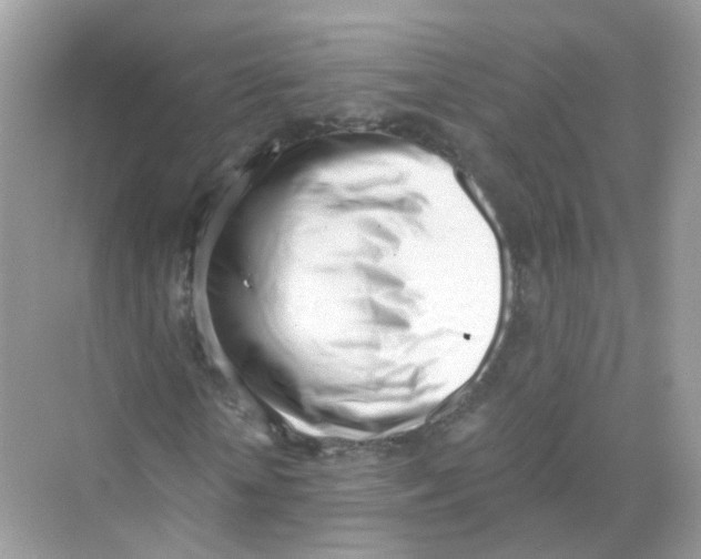 X0000069800818200606091806