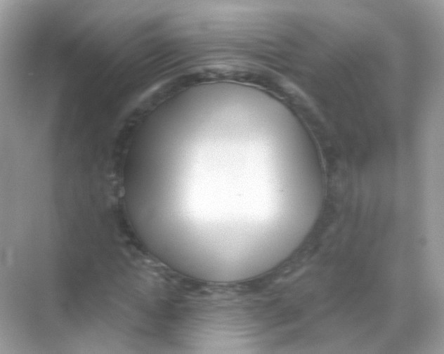 X0000069800822200606091806