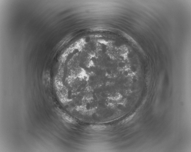 X0000069800825200606091806