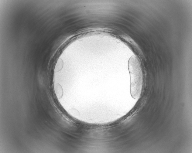 X0000069800828200606091806