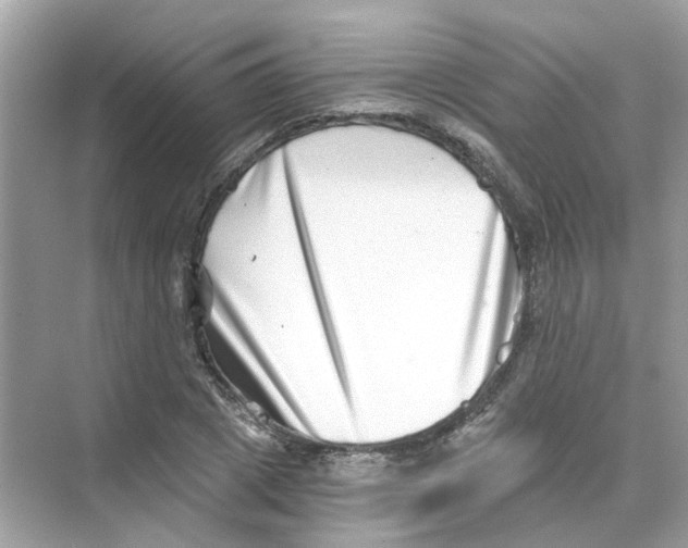 X0000069800833200606091807