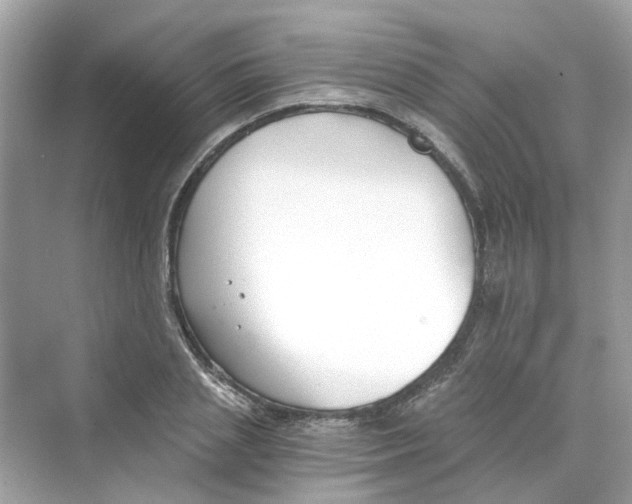 X0000069800837200606091807