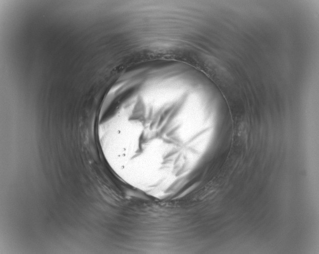 X0000069800868200606091806