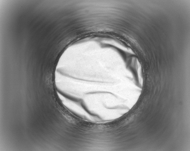 X0000069800881200606091806