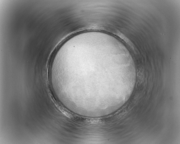 X0000069800886200606091806