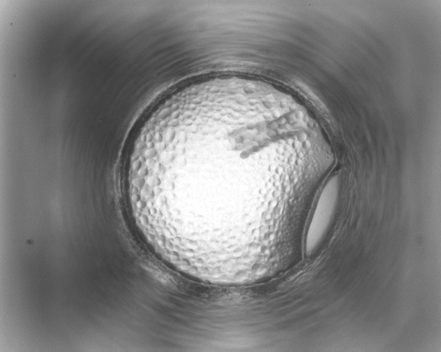 X0000069800891200606091806