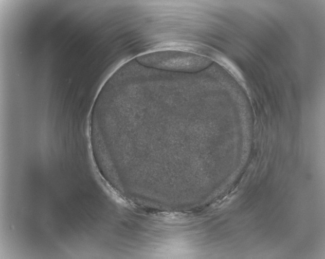 X0000069800907200606091806