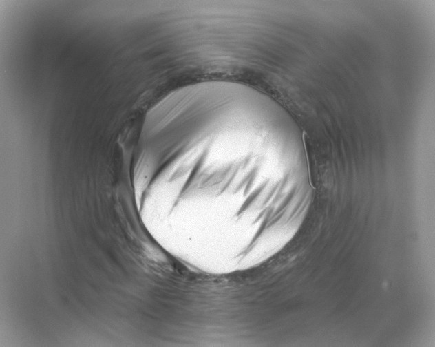 X0000069800916200606091805