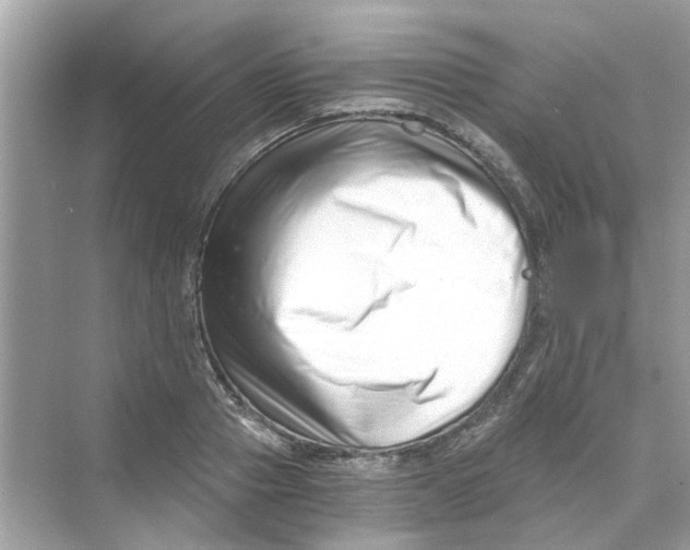 X0000069800937200606091805