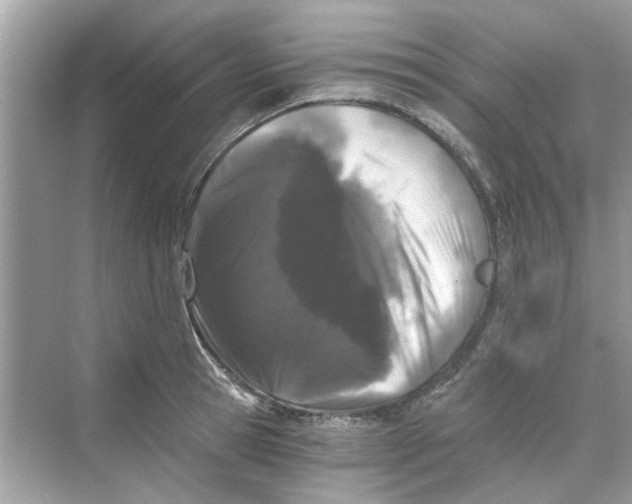 X0000069800945200606091805