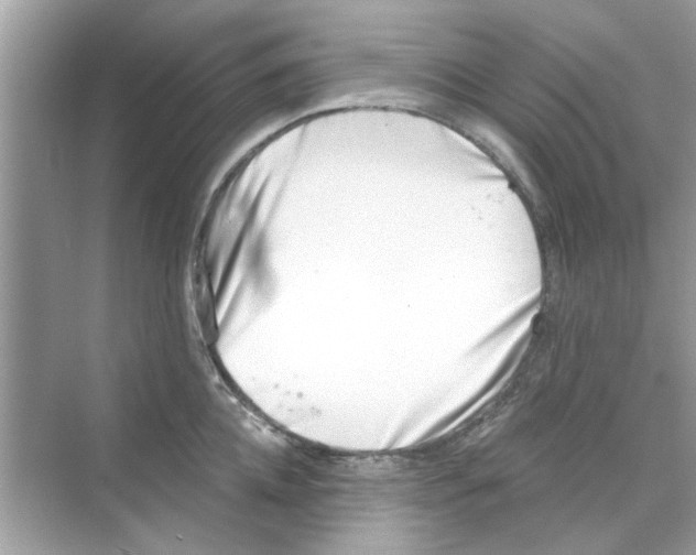 X0000069800952200606091805