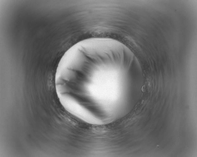 X0000069800964200606091805