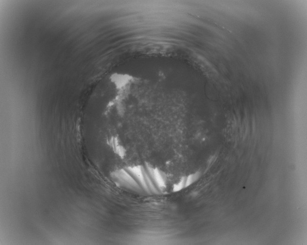 X0000069801013200606091803