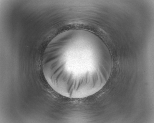 X0000069801014200606091803
