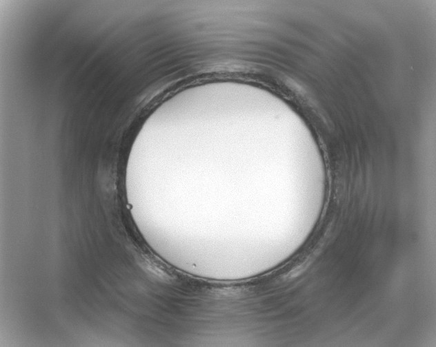 X0000069801017200606091803