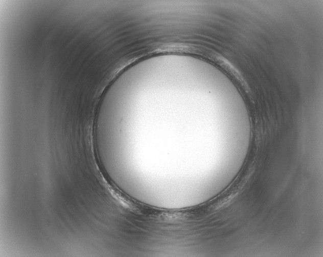 X0000069801041200606091804