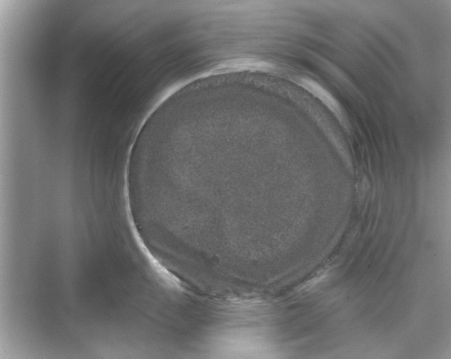 X0000069801055200606091804