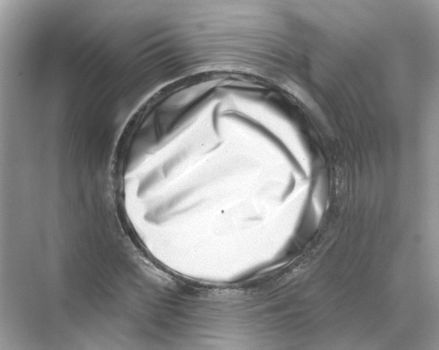 X0000069801068200606091803