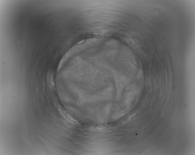 X0000069801106200606091801