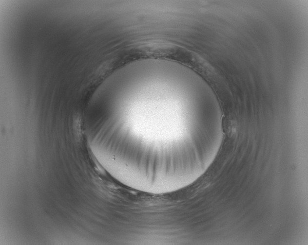 X0000069801108200606091801