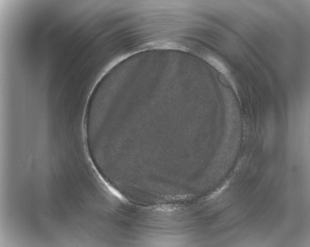 X0000069801141200606091802