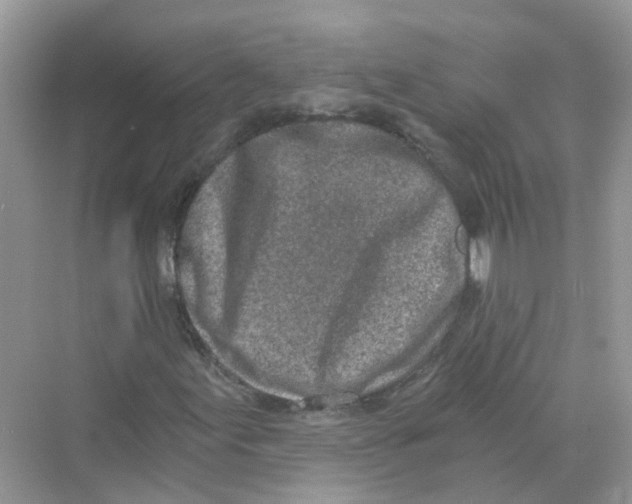 X0000069801155200606091801