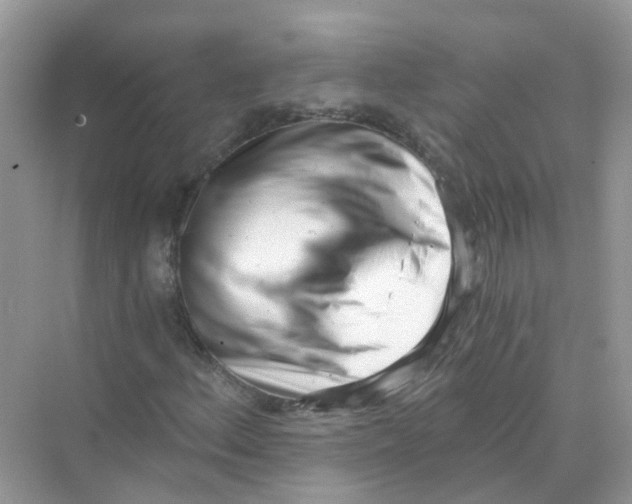 X0000069801156200606091801
