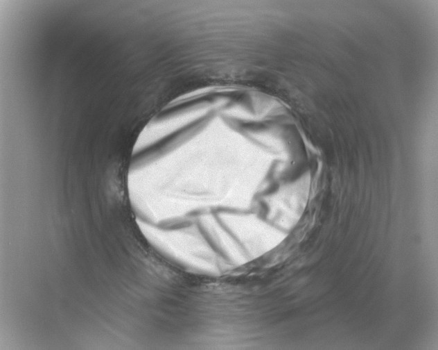 X0000069801202200606091800