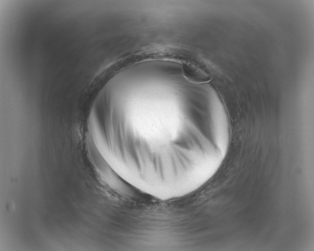 X0000069801206200606091800