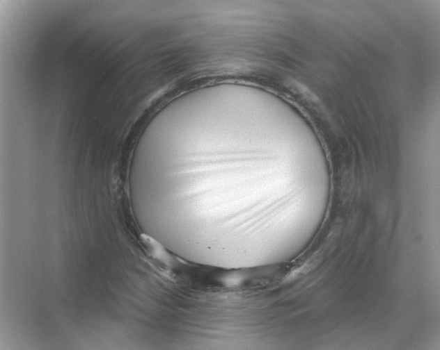 X0000069801210200606091800