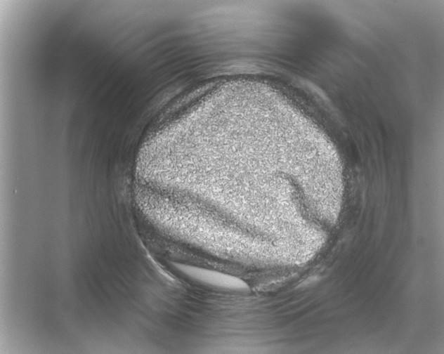 X0000069801225200606091800