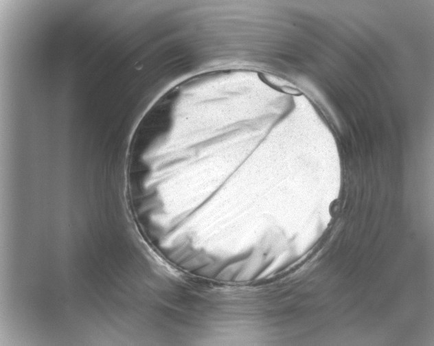 X0000069801244200606091800