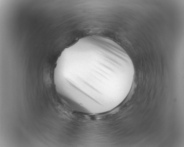 X0000069801250200606091800
