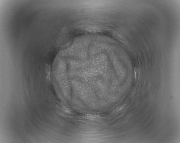 X0000069801251200606091800