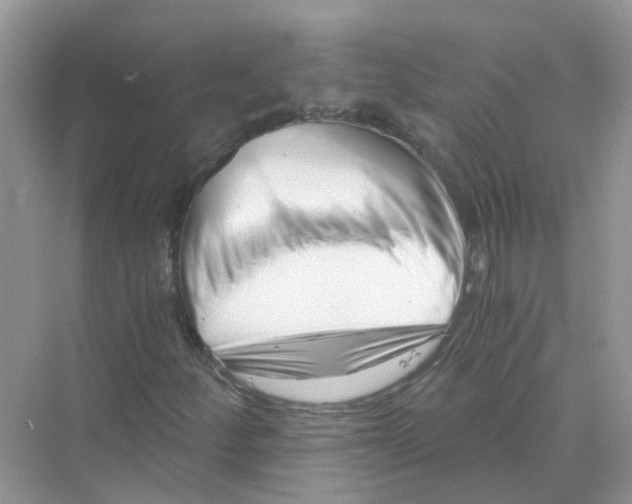 X0000069801252200606091800