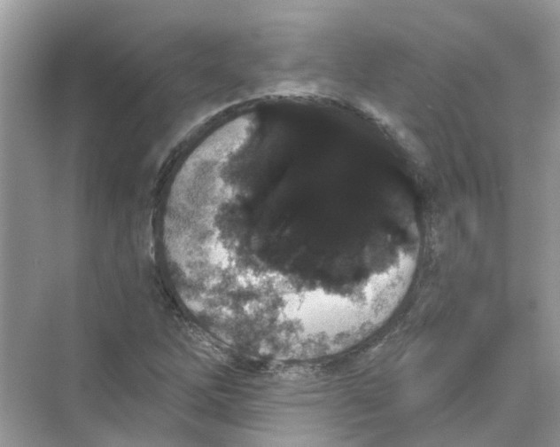 X0000069801262200606091759