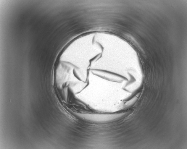 X0000069801276200606091759