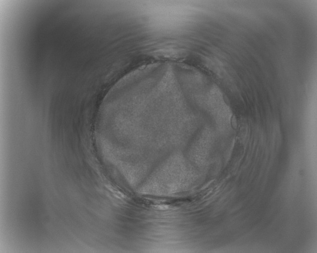 X0000069801297200606091758