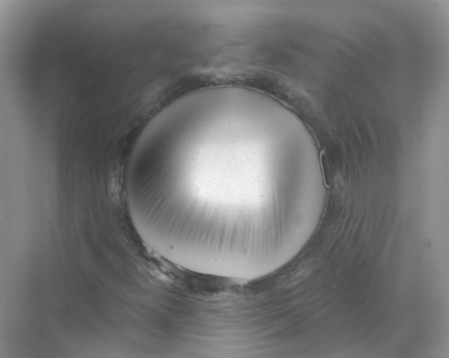 X0000069801300200606091758