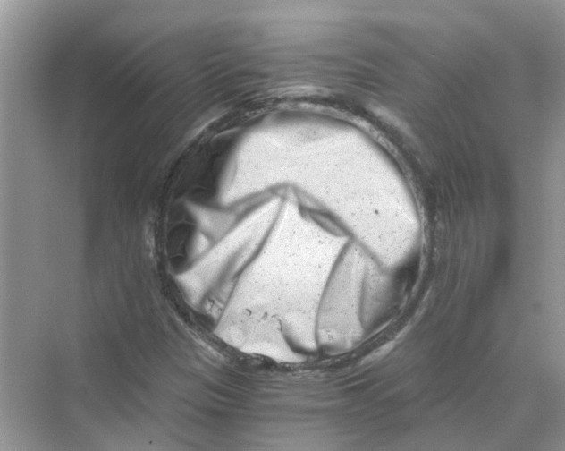 X0000069801305200606091758