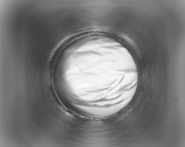 X0000069801310200606091758