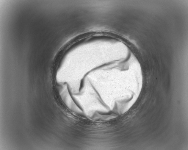 X0000069801311200606091758