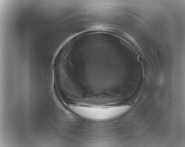 X0000069801323200606091759