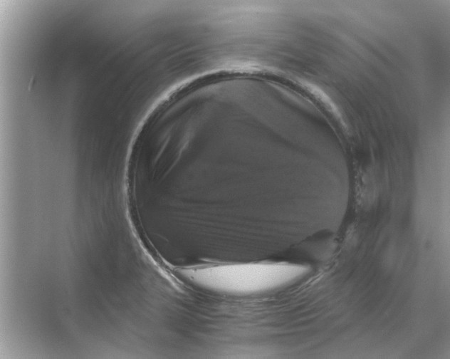 X0000069801327200606091759