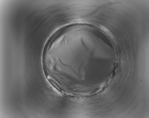 X0000069801334200606091759
