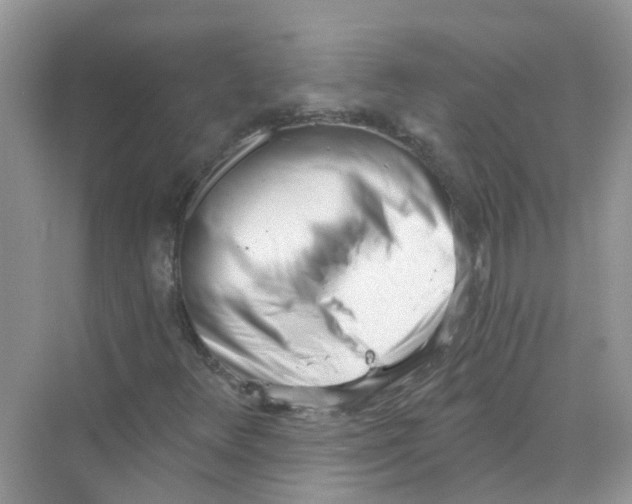X0000069801348200606091758