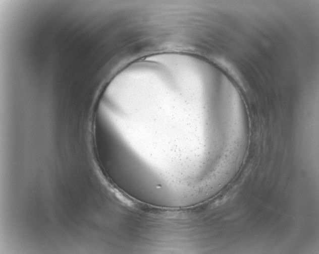 X0000069801381200606091757