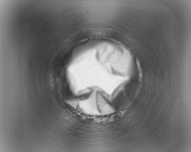 X0000069801394200606091757